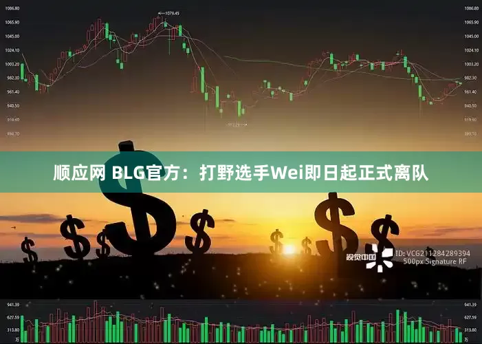 顺应网 BLG官方：打野选手Wei即日起正式离队