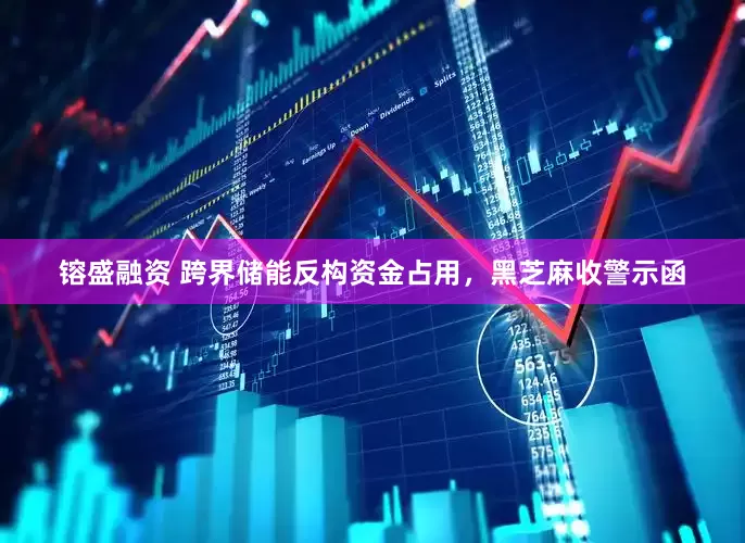 镕盛融资 跨界储能反构资金占用，黑芝麻收警示函