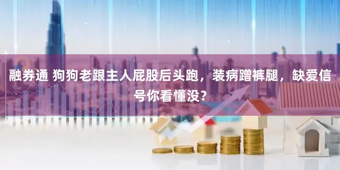 融券通 狗狗老跟主人屁股后头跑，装病蹭裤腿，缺爱信号你看懂没？