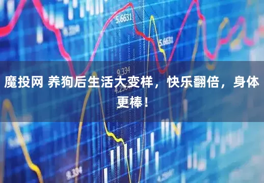 魔投网 养狗后生活大变样，快乐翻倍，身体更棒！