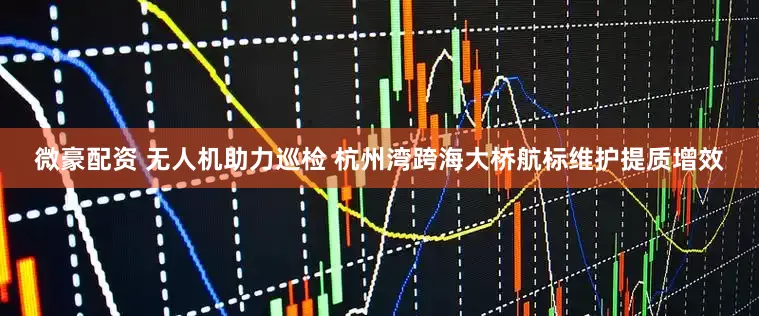 微豪配资 无人机助力巡检 杭州湾跨海大桥航标维护提质增效